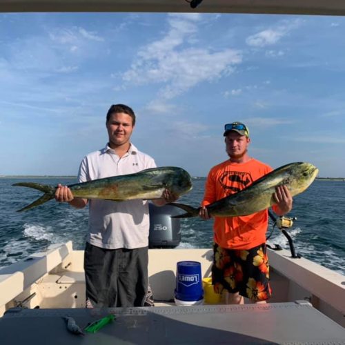 Mahi Mahi Daytona Beach